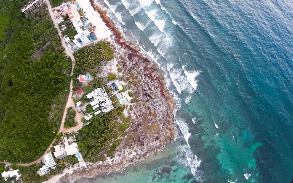 Dream Oceanview Villa 4Br At Tankah Bay Tulum Mexico